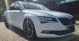 Skoda Superb 2.0 TDI SCR 140kW DSG 4x4 SportLine C... - Skoda Superb mit Diesel-Antrieb: Standheizung