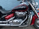 Suzuki VL 800 INTRUDER - SUZUKI V 800