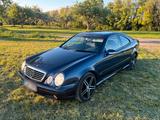 Mercedes-Benz CLK 430  V8 Mercedes TÜV 04/28 AMG Paket X... - Mercedes-Benz CLK AMG Paket
