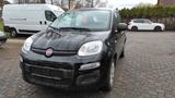 Fiat Panda  1,2 8V Klimaanlage - Fiat Panda: Schwarz