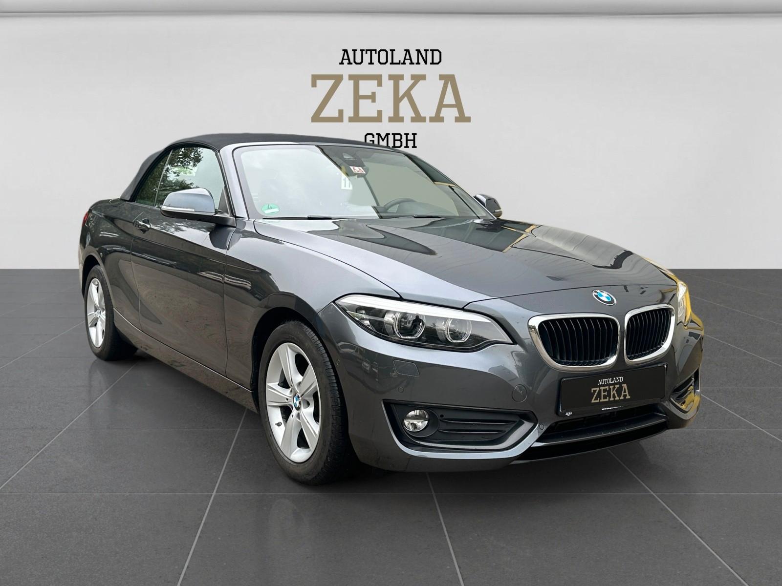 BMW 218i*CABRIO*ADVANTAGE*H&K*LEDER