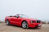 Ford Mustang GT 4.6 V8 Cabrio | 50.200km | TopZustand - Ford Mustang in Kiel