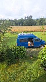 Volkswagen T6 Transporter