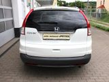 Honda CR-V Executive 2.0i-VTEC 4WD DAB+Leder RS SHZ - Honda: 2.4