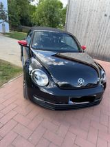 Volkswagen Beetle 2.0 TDI 81kW BMT CLUB Cabriolet CLUB - Volkswagen Beetle mit Diesel-Antrieb: Cabrio