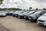 Ford Ranger 2.3l DoKa Eco PHEV Wildtrak*TEC 46/ROLLO - Ford Ranger: Plug-In Hybrid