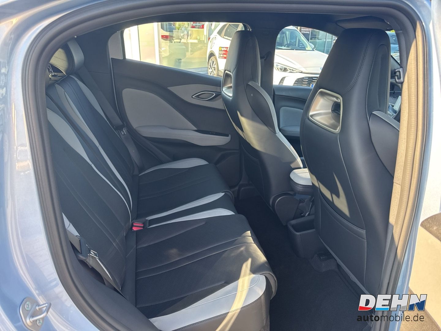 BYD DOLPHIN SURF