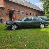 Jaguar XJ40 H-Zulassung Tausch - Jaguar XJ40 von privat