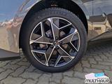 DS Automobiles DS4 Cross Rivoli PureTech 130 SHZ Leder LED - DS Automobiles DS4: Rivoli