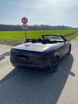 Audi A4 Cabriolet S-line*Checkheft *Leder*Bose*TÜV* - Audi aus 2004: Cabrio