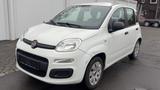 Fiat Panda 1.2 Pop ~ERST 70TKM~ - Fiat Panda Gebrauchtwagen in Essen