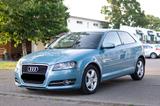 Audi A3 1.6 TDI *AUTOMATIK* - Audi A3 mit Diesel-Antrieb: Sportwagen