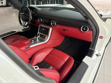 2010 Mercedes-BENZ SLS AMG 缩略图 15