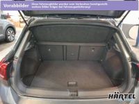 Volkswagen T-Roc - Vorschau Bild 6
