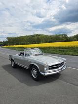 Mercedes-Benz 230 SL Pagode (W113) professionell neu aufgebaut - Mercedes-Benz 230 aus 1966: 230s