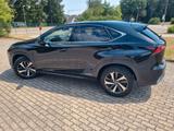 Lexus NX 300h E-FOUR Luxury Line   - Lexus: 300h