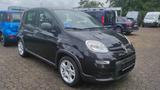 Fiat Panda 1,0 GSE Hybrid - gebrauchte Fiat Panda aus dem Jahr 2024