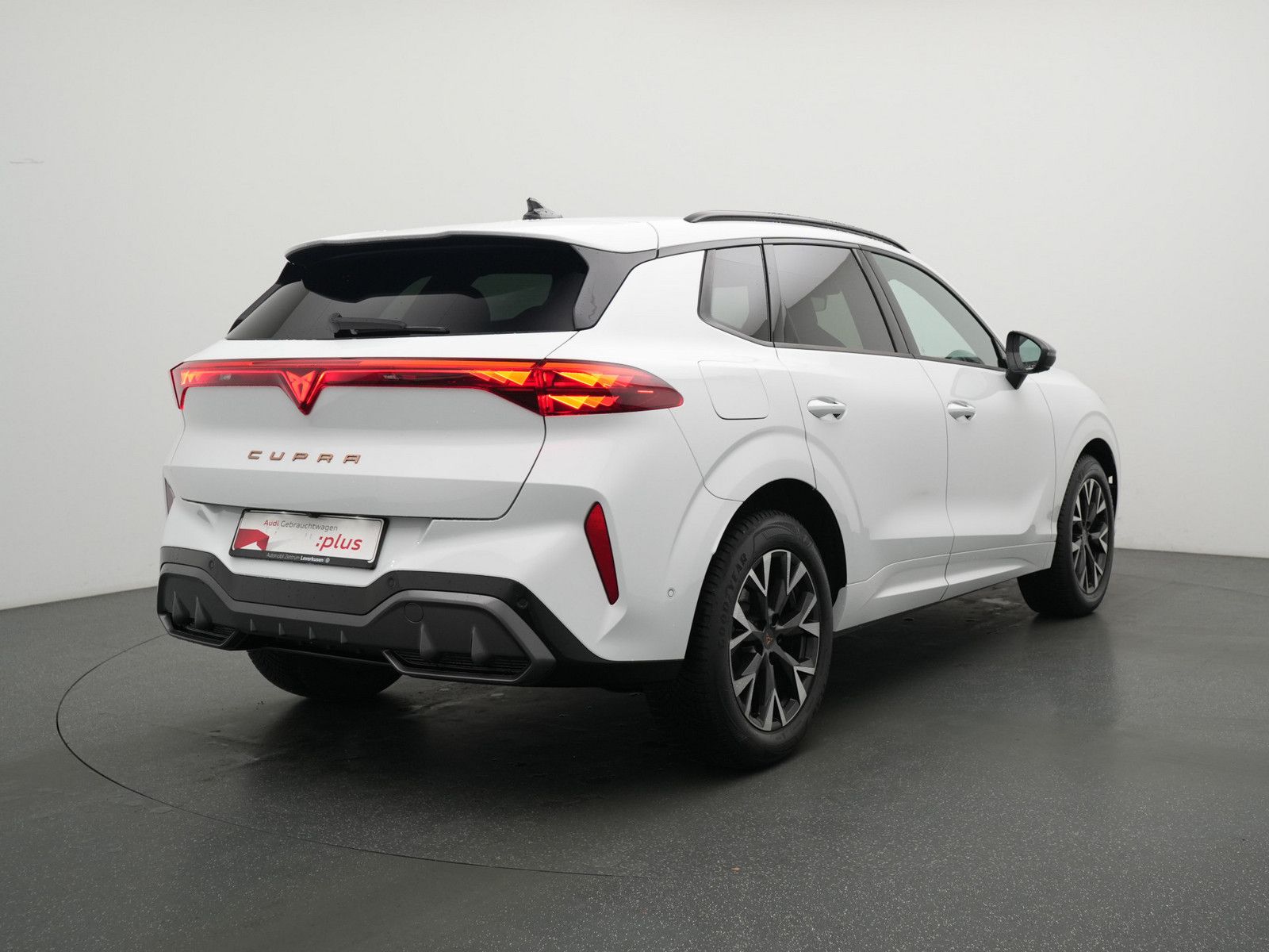 Cupra Terramar - Bild 3