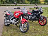 BMW F 650 CS, A2tauglich (48 PS), ABS, TÜV neu, treu - BMW F 650 CS