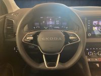Skoda Karoq - Vorschau Bild 11
