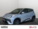 BYD DOLPHIN SURF Active Vorverkauf