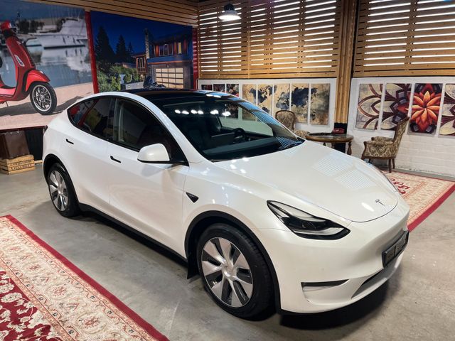 Tesla Model Y Long Range Dual Mot, Panorama, Autopilot