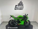 Kawasaki Ninja 125 Performance + - KAWASAKI NINJA 125