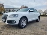 Audi Q5 2.0 TDI quattro Allr.AHK,Pano, Facelift, - gebrauchte Audi Q5 mit Facelift