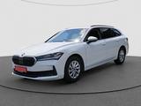 Skoda Superb Combi 1.5 TSI mHEV DSG Essence NAVI RFK A - Skoda Superb Jahreswagen: Kombi