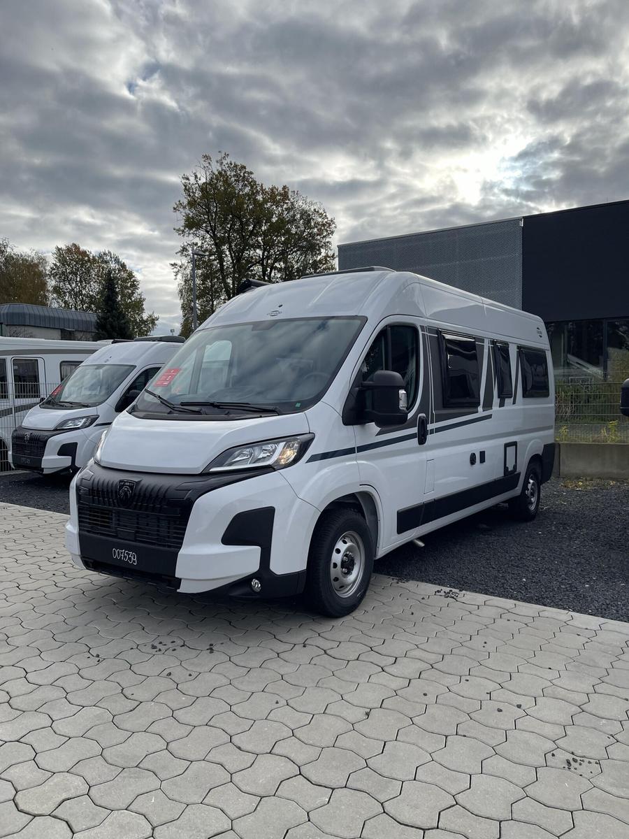 Carado CV 600 Entry /Dieselt 90l/Optik 1/Markise/3.Bett