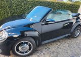 Volkswagen Beetle 1.2 TSI Cabriolet - - Volkswagen Beetle in Hamburg