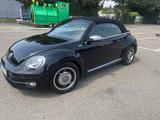 Volkswagen Beetle 1.4 TSI 50's Cabriolet 50's - Volkswagen Beetle: Cabrio