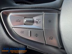 Foto Nummer 20: BYD DOLPHIN