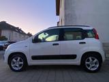 Fiat New Panda 1.2 8V - - Fiat New Panda von privat