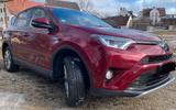 Toyota RAV 4 2,5 Hybrid, 145KW, 4x4 Executive - rote Toyota RAV 4