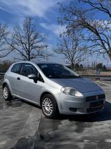 Fiat Punto 1.2 8V - - Fiat Punto in Wiesbaden