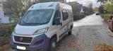 Weinsberg CaraBus 541 MQ - Angebote