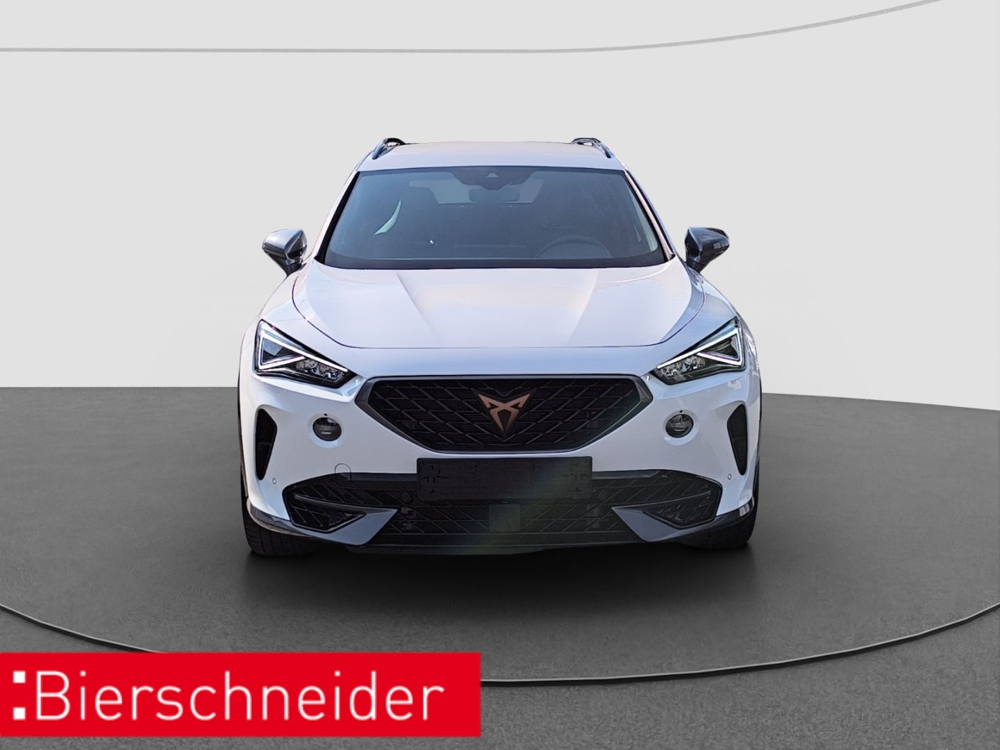 Cupra Formentor 2.0 TSI DSG 4Drive VZ AHK LED NAVI imagem 2