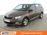 Skoda Fabia 1.0 TSI Ambition*PDC*SHZ*KLIMA*LIMITER* - Skoda Fabia Gebrauchtwagen in Nürnberg