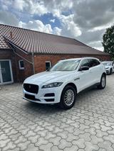 Jaguar F-Pace Geländewagen - Gelände gebraucht