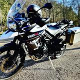 Triumph 800xcx mit kofferset original  - Triumph Motorräder in Düsseldorf