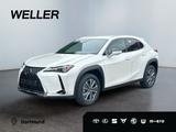 Lexus UX 300e *SmartKey*CarPlay*Klimaaut*SHZ*Bi-LED* - Lexus in Dortmund