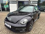 Volkswagen Beetle Lim. Sport BMT *PANO*SZH*NAVI* - Volkswagen Beetle mit Panoramadach