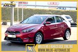 Kia CEED 1.5 T-GDi 140 PS DCT SHZ KAM NAVI AHK VORB. - Kia cee'd / Ceed Tageszulassungen