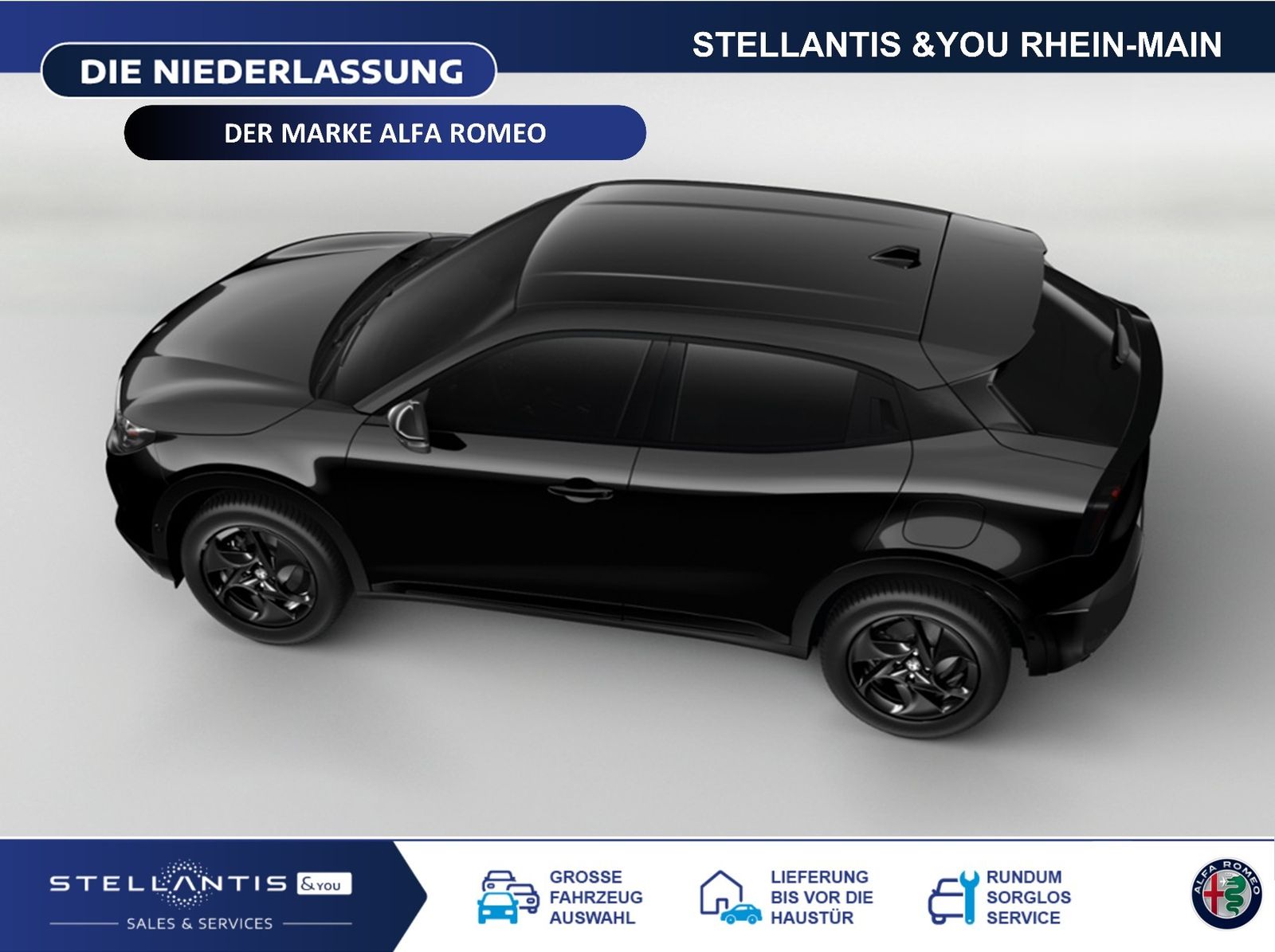 Alfa Romeo Junior - Bild 6
