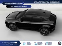 Alfa Romeo Junior - Vorschau Bild 6