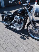 Harley-Davidson Sportster XL 1200 Custom  - HARLEY-DAVIDSON 2008 SPORTSTER 1200