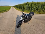Honda gepflegte Hornet CB600 FA - HONDA CB600F