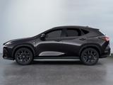 Lexus NX 450h+ NX450+ 2,5l Plug-in  , Hybrid 5-Türer F - Lexus: Nx