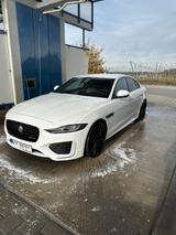 Jaguar XE P250 R-DYNAMIC BLACK Automatik R-DYNAMIC ... - Jaguar XE P250 Gebrauchtwagen